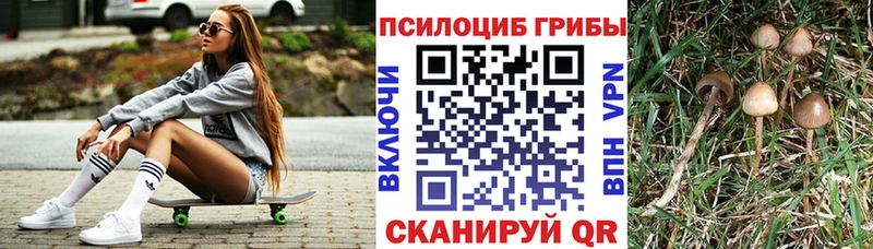 Псилоцибиновые грибы Psilocybine cubensis магазин продажи наркотиков KRAKEN маркетплейс Лодейное Поле
